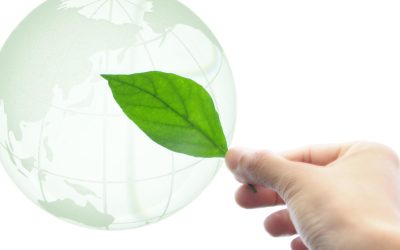 Les Escargots Bio-Ingenieurs : Le Futur de la Dépollution du Sol?