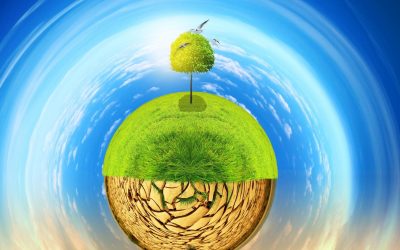 Écologie et Superstition : Quand le Sort de la Planète se Joue aux Dés