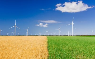 Transformer nos déchets en or: l&rsquo;alchimie écologique du 21ème siècle