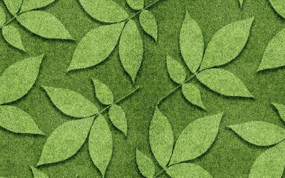 Les animaux espions de la nature : quand la faune nous enseigne l&rsquo;écologie