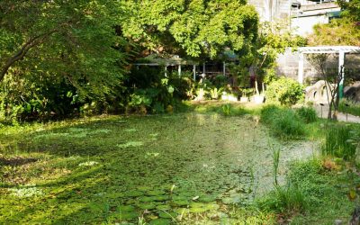 La Grande Illusion Verte : Quand l&rsquo;Écologie Devient un Business