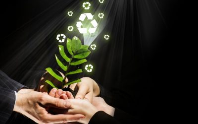 L&rsquo;écologie secrète des hackers : Quand les pirates du web sauvent la planète