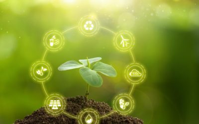 Le côté obscur du recyclage : ce que l&rsquo;industrie ne veut pas que vous sachiez