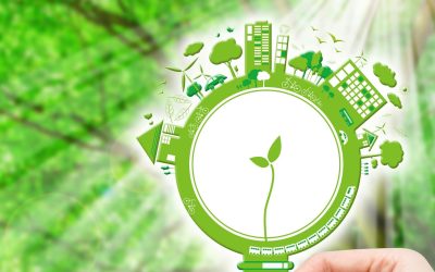 La Face Cachée des Produits Bio : L&rsquo;Impact Environnemental Ignoré