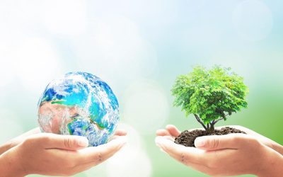 La révolution secrète : ces micro-organismes qui changent le climat