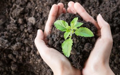 La face cachée du recyclage : Ce que l&rsquo;industrie ne vous dit pas