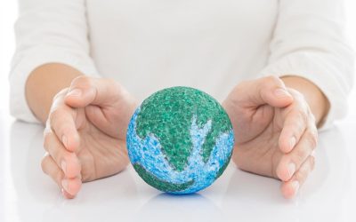 Votre café du matin pourrait-il sauver la planète ? La surprenante écologie des déchets de café