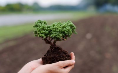 Agir pour notre planète: Comment l&rsquo;écologie peut sauver notre avenir