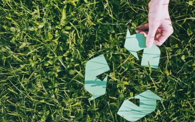 Comment les algorithmes peuvent sauver la planète : L&rsquo;écologie du futur