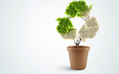 Les plantes bavardes : Quand la nature a des choses à dire