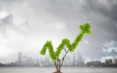 Les Aliments Bio Sont-Ils Vraiment Écologiques ? Gros Mythe ou Vérité Dérangeante