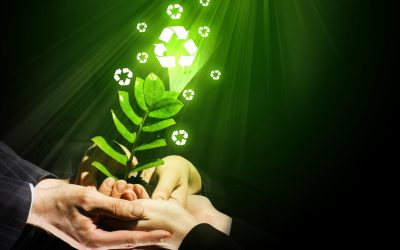 L&rsquo;impact caché des énergies renouvelables sur la biodiversité