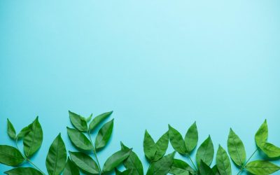 Comment l&rsquo;écologie peut sauver la planète : Les solutions innovantes et efficaces à portée de main