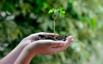 Vivre en harmonie avec la nature : Comment l&rsquo;écologie peut changer notre avenir ?