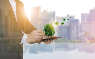 Ces Plantes Qui Espionnent Notre Environnement : Quand la Biotechnologie Rencontre la Nature
