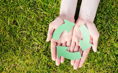 La révolution des énergies renouvelables et biodiversité en 2025