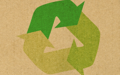 Veille environnementale 2025: décryptage tendances clés et innovations vertes