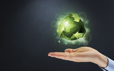 Urgence climatique 2025 : transition énergétique, innovation et actions locales concrètes