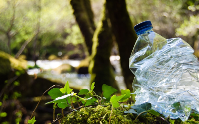 Urgence écologique mondiale : chiffres clés et solutions 2025