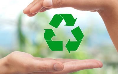 Veille environnementale 2025 : les clés d’une action durable