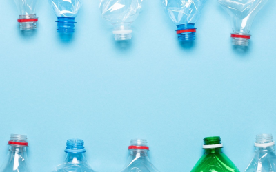 Cap sur 2025 enjeux écologiques innovations vertes et actions locales