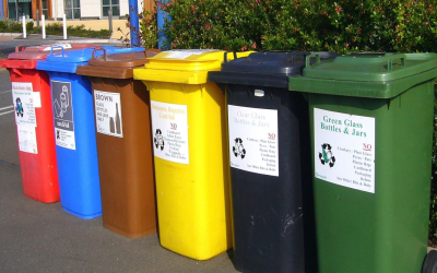 Veille environnementale 2025 : cap sur les actions qui changent tout