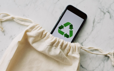 Actualités environnementales 2025 : tendances, enjeux et solutions concrètes