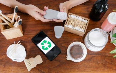 Veille environnementale 2025 : le bilan des initiatives vertes mondiales