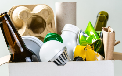 Actualité environnementale 2025 : veille, innovations et actions locales