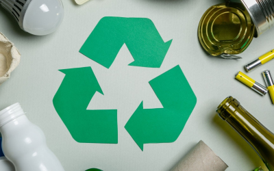 Veille environnementale 2025 : un atout pour préserver notre planète vivante