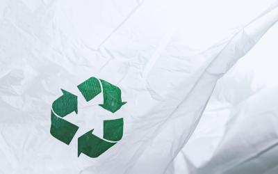 Urgence climatique 2025 : actions, innovations et espoirs