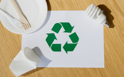 Actualité environnement 2025 : records alarmants et espoirs verts