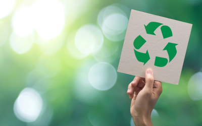 Actualité environnementale 2025: un seuil critique pour l&rsquo;avenir planétaire