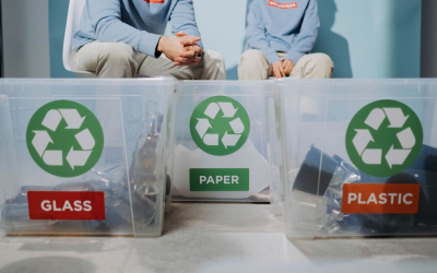 Veille environnementale 2025 révèle record hausse température et énergies vertes