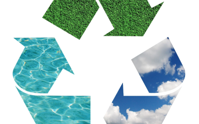 Actualités environnementales 2025 : défis, innovations et solutions durables